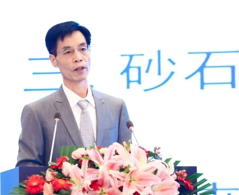 主旨報告 | 胡幼奕以國際化視角，提出固廢綜合利用和生態(tài)環(huán)境修復新思路